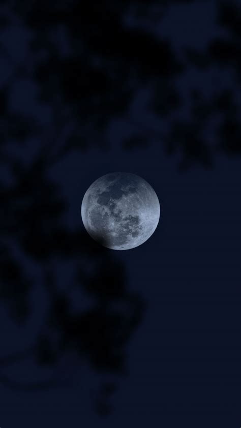 Download Wallpaper 1350x2400 Moon Full Moon Night Darkness Iphone 8
