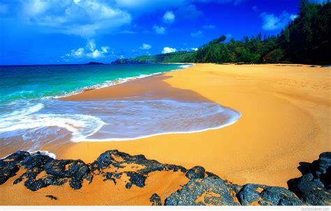 Cute Beach Wallpapers Hawaii Beach 1680x1077 Download Hd