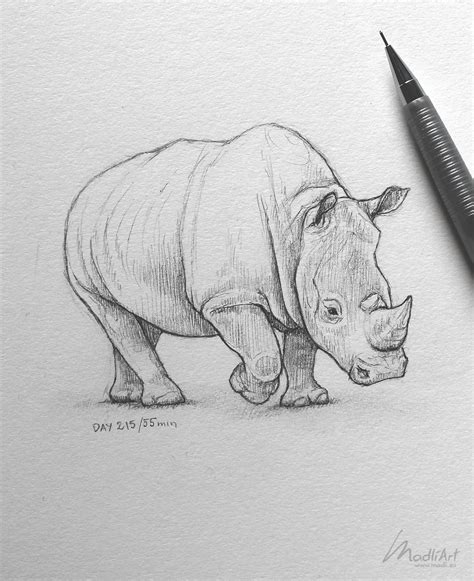 Rhino Art By Madliart Pencil Drawings Of Animals Realistic Animal