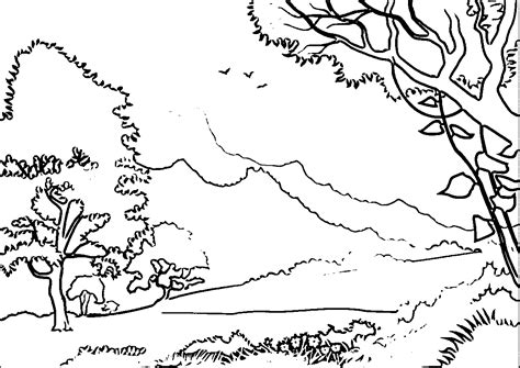 The tree grows up to 30. Forest Coloring Pages - Best Coloring Pages For Kids