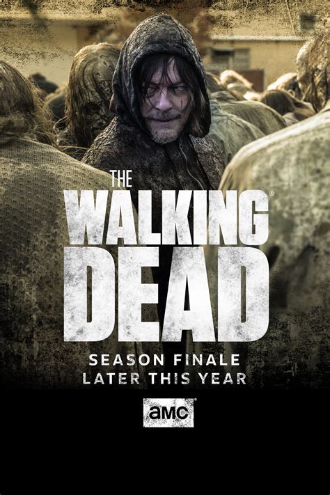 Dramatisch Diktatur Oberst Erscheinungsdatum The Walking Dead Staffel 8