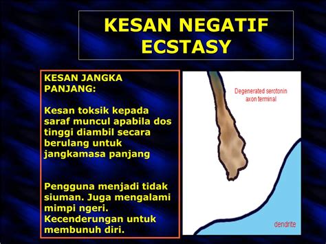 Laporan khas dadah flakka atau dadah zombie dadah baharu yang amat berbahaya 4 julai 2017. PPT - Jenis Dadah dan Kesannya Ke atas Manusia PowerPoint ...