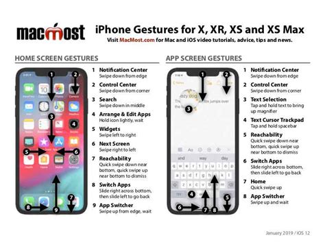 Printable Iphone Gestures Cheat Sheet For Iphone X Xr Xs And Xs Max