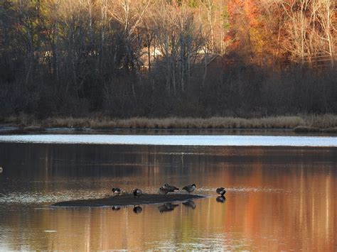 Autumn On The Chattahoochee River Four Photograph By Veronica Moreno