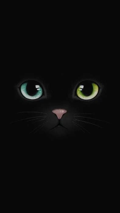 Fondos De Pantalla Para Los Amantes De Los Gatitos Gato Negro Dibujo Fondos De Pantalla De