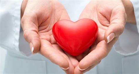 What Does Your ‘heart Say Tips To Take Care Of Your Heart During