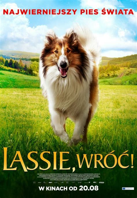 Lassie WrÓĆ Filmandtv Kamera
