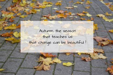 Autumn The Season That Teaches Us That Change Can Be Beautiful