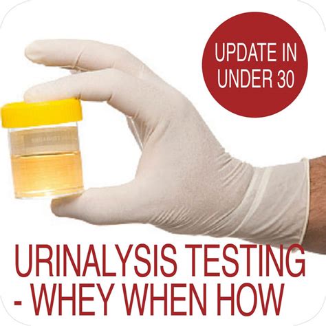 Update In Under Urinalysis Testing Why When How Min Audio Rachel Arthur Nutrition