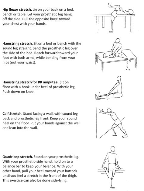 Lower Extremity Amputee Exercise