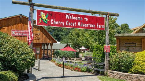 Cherry Crest Adventure Farm Ronks Holiday Accommodation Holiday