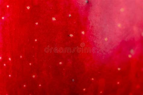 737 Red Apple Skin Texture Stock Photos Free And Royalty Free Stock