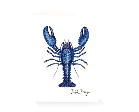 Blue Lobster Painting Box Of 12 Cards Handmade