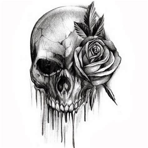 Rose Flower And Skull Black And White Tattoo Design Idea Skull Rose Tattoos Skull Tattoo