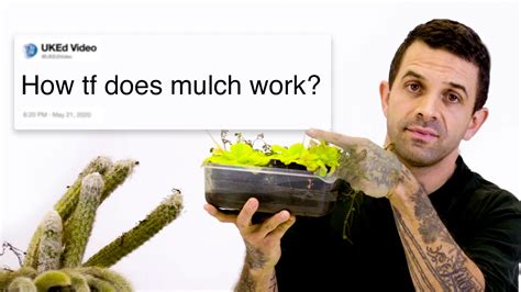 Watch Botanist Answers Plant Questions From Twitter Tech Support Wired
