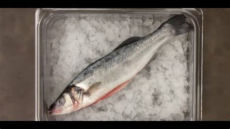 How To Store And Preserve Fish Youtube