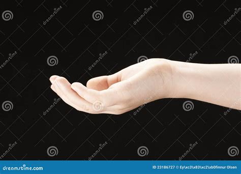 Childs Hand With Palm Facing Up Stock Image Image Of Female Beauty