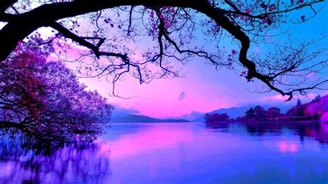 Beautiful Purple Sky And Trees With Reflection On Body Of Water 4k Hd Nature Wallpapers Hd
