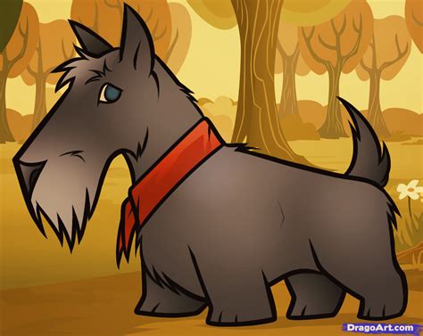 How To Draw A Scottie Scottish Terrier Step By Step Pets Animals