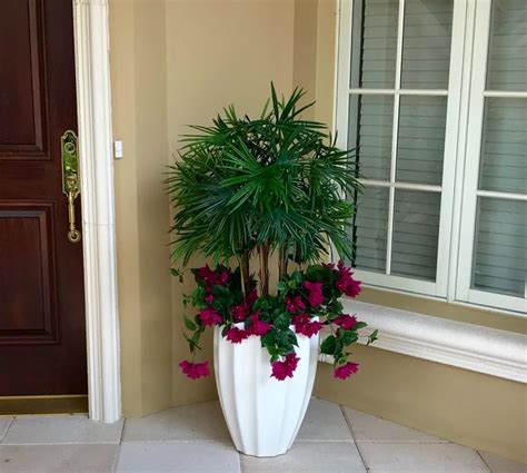What you can plant depends on where you live, so be sure to research your climate zone and find out what will thrive in your area! A Florida entryway set back in shade is able to have ...