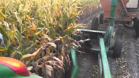 Chopping Corn With 3970 Forage Harvester Youtube