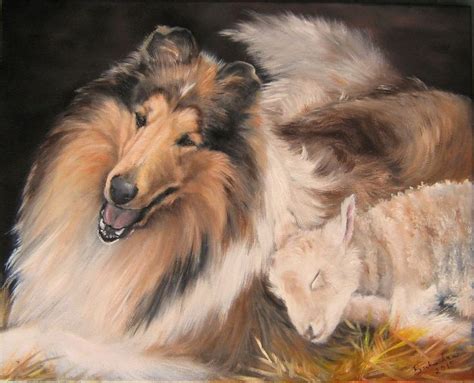 Collie Lamb Art Original Oil Painting 16x20 Stretched Canvas B Ann