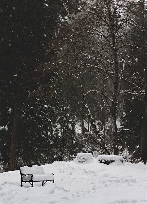 Park Snow Winter Trees Bench Hd Phone Wallpaper Peakpx