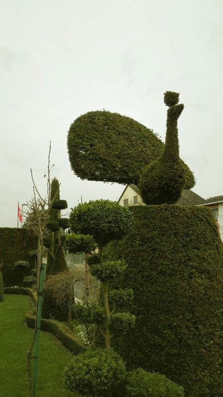 Haben sie fragen zu unseren produkten? Gartenführer Rheinhessen: Ein Garten im Quadrat