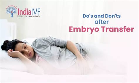 Dos And Donts After Embryo Transfer India Ivf Fertility