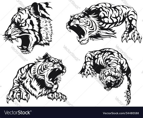 Silhouette Angry Tiger Roaring Head Royalty Free Vector