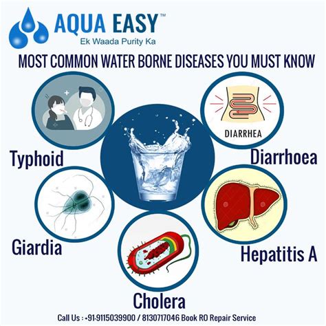 Most Common Water Borne Diseases You Must Know Ro Water Purifier Disease Disease Prevention