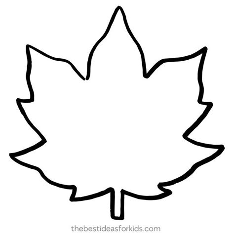 Maple Leaf Drawing Outline Michel Mccann