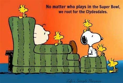 Pin On Superbowl Sunday Sundaysunday Snoopy And Woodstock