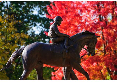 Kentucky Horse Park Lexington Ky Kentucky Horse Park Kentucky