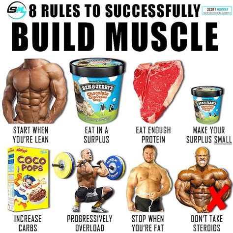 10 Rules For Building Muscles On Bulking Phase In 2020