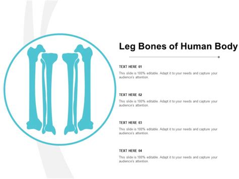 Bones Powerpoint Templates Slides And Graphics