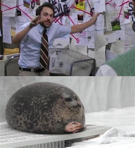 Seal Meme Blank Template Imgflip