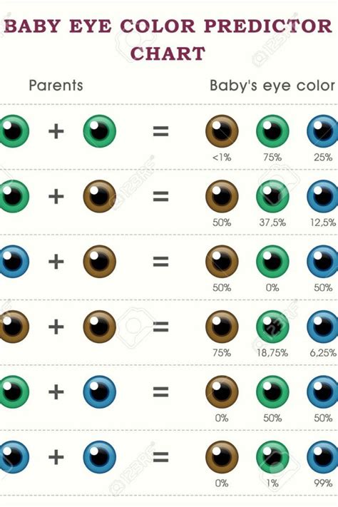 Baby Eye Color Predictor Chart Baby Eye Color Predictor Eye Color