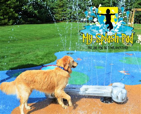 My Splash Pad Dog Bone Water Play Features Dog Water Park Dog
