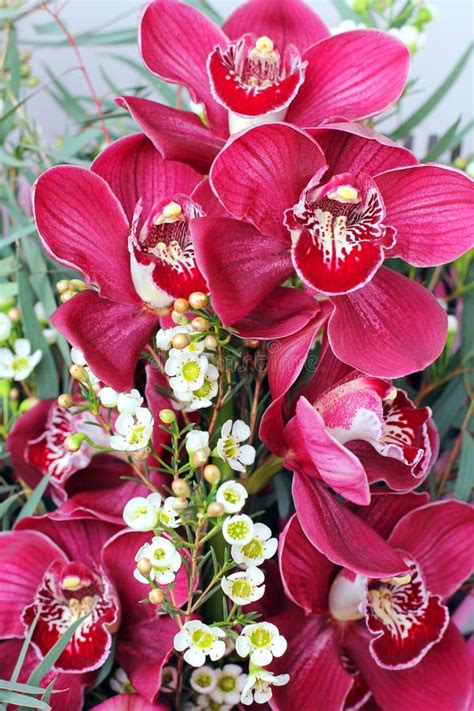 Pink Orchid Cymbidium Flowers Bouquet With Flute On Old Wood Planks Stock Image Image Of