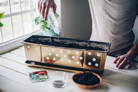 Each failure taught me something new. Common Mistakes Made While Growing Seeds Indoors