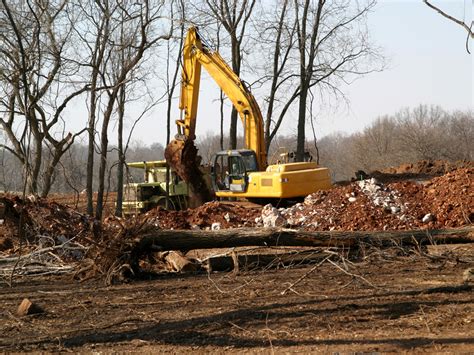 Land Clearing Logging Company Naples Fl And Fort Myers Fl Judd