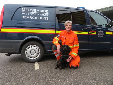 Mfrs Search And Rescue Dog Scout Reporting For Duty Merseyside Fire