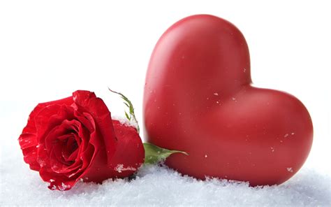 Photo Valentines Day Heart Red Roses Snow Flowers 3840x2400
