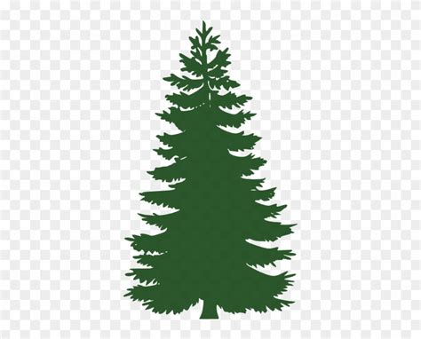 Evergreen Clip Art Green Pine Tree Silhouette Free Transparent Png