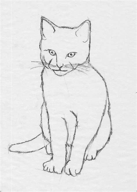 How To Draw Step By Step Cats Cat Sketch Cat Drawing Drawings