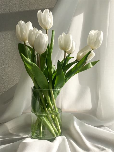 White Tulips In A Clear Glass Vase On A White Cloth