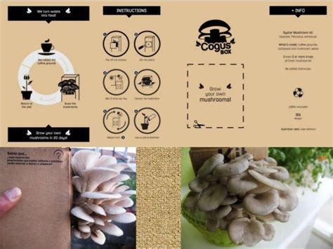 Mushrooms Catalog