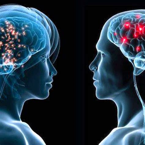 Male Brain And Female Brain Telegraph