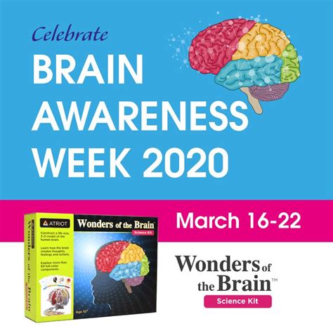 Celebrate The Brain Awareness Week With Wonders Of The Brain On March